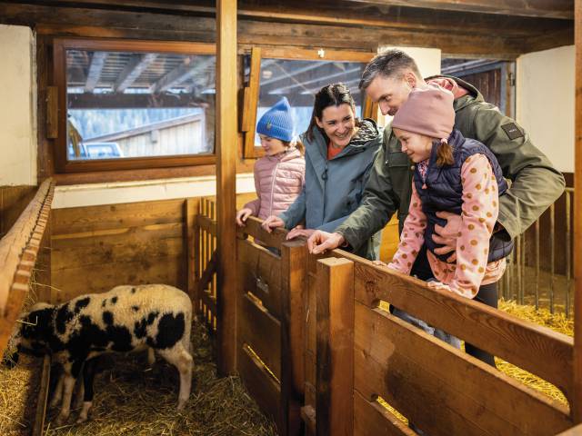 Familie im Stall bei einer Kuh