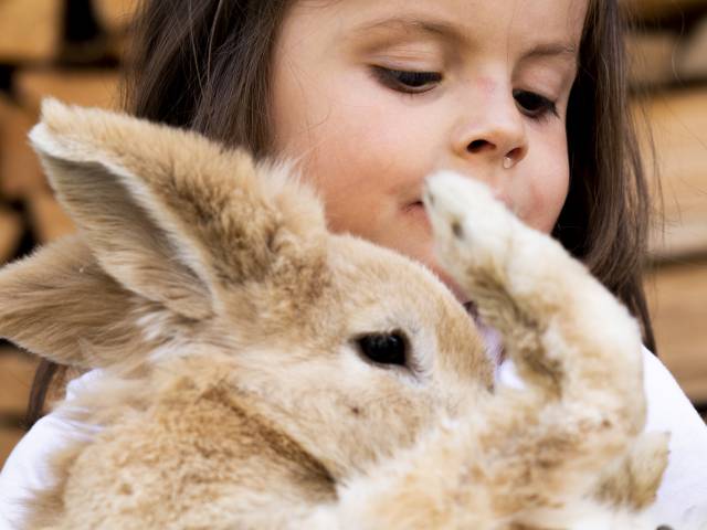 Kind mit Hase im Familotel Kindl