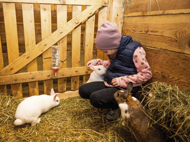 Kind streichelt Hasen