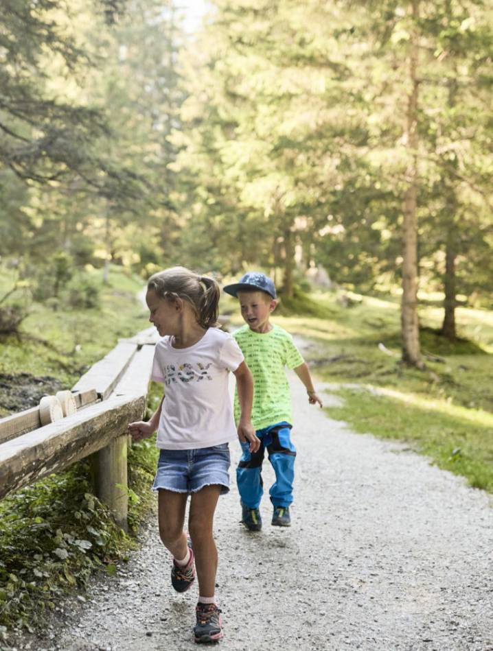 Kinder auf Entdeckungstour im Wald