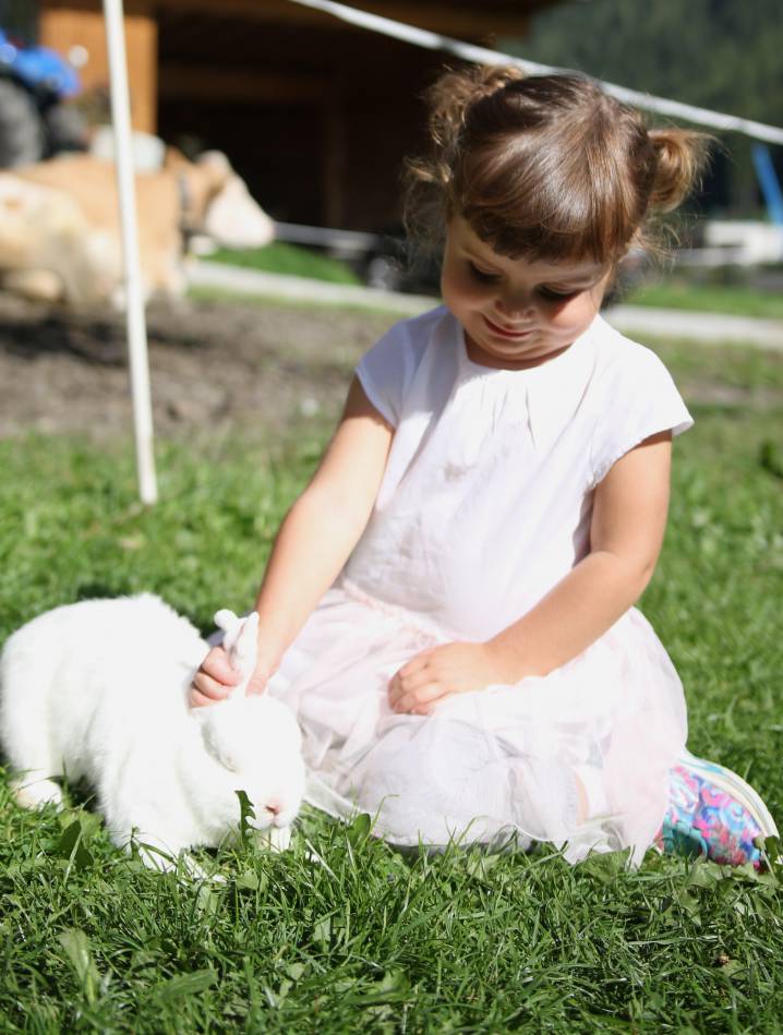 Kind streichelt Hase auf der Wiese