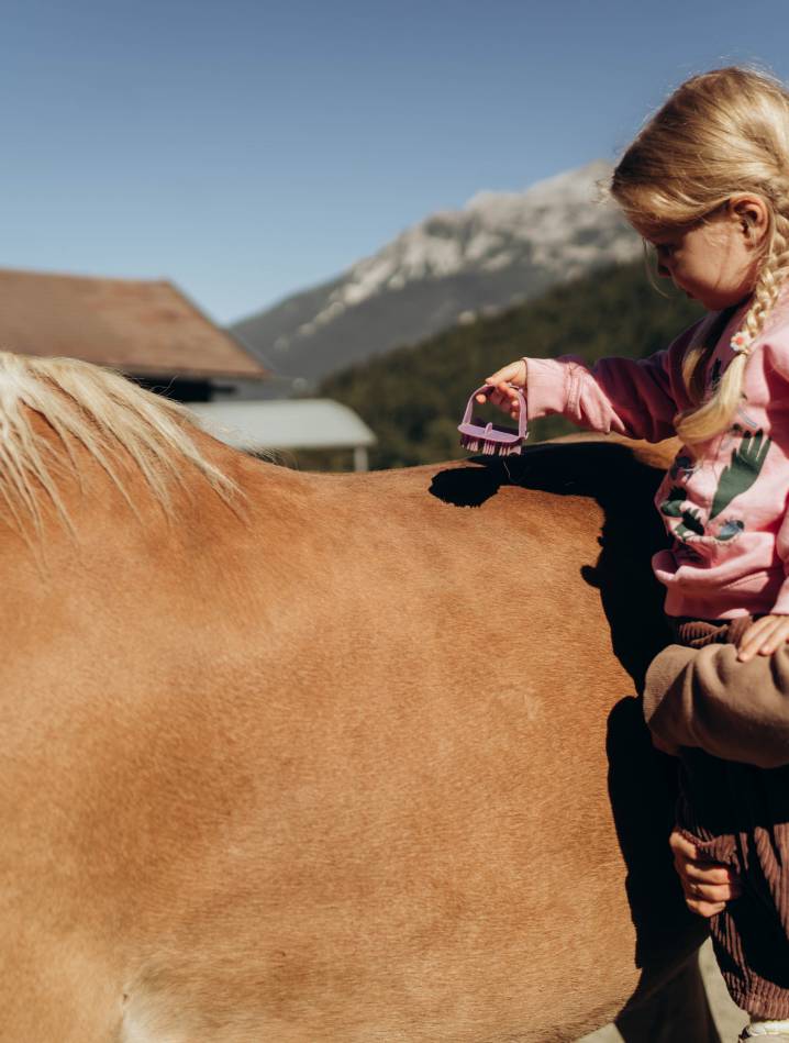 Pony adventures : Kindl’s pony farm and riding - Alpenhotel Kindl