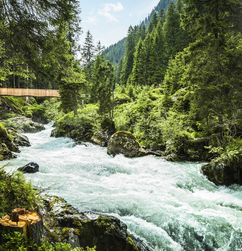 Stubaital Fluss im Wald